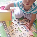 分類盒-1Y5M-1.JPG