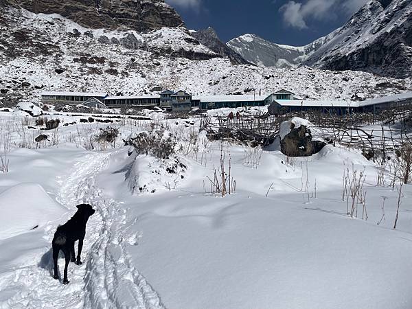 2024.1.21-2.2冬季尼泊爾布恩山ABC 魚尾峰基地