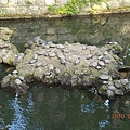 20100819-016.JPG