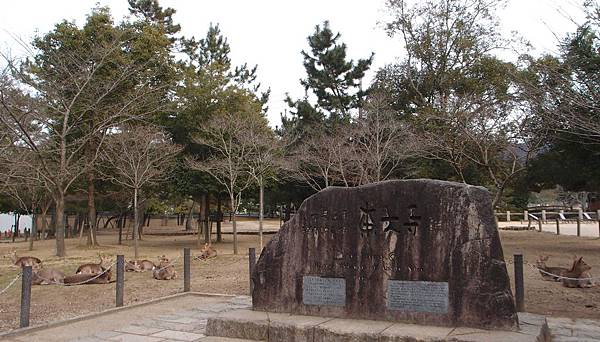 奈良公園  東大寺