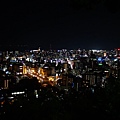 城山公園夜景