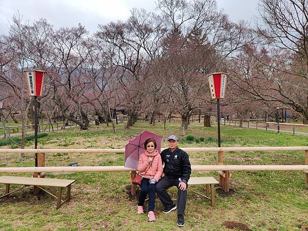 高遠城址公園