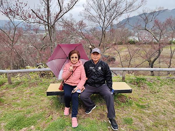 高遠城址公園