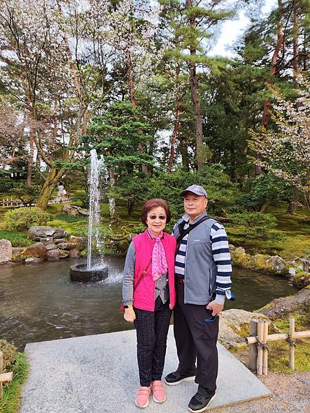 日本賞櫻 : 三大名園 金澤 兼六園