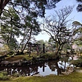 兼六園7.jpg