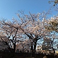 京都紫野上品蓮台寺