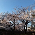 京都紫野上品蓮台寺