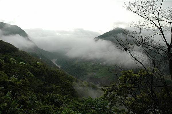 沿路的風景