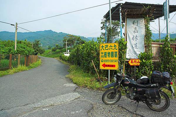 利嘉林道