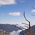 美麗的風景