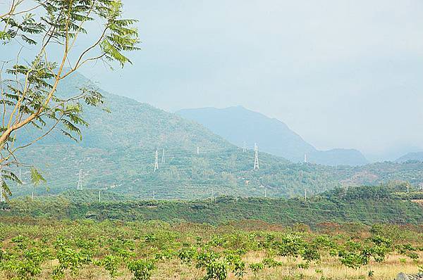 遠方的山景