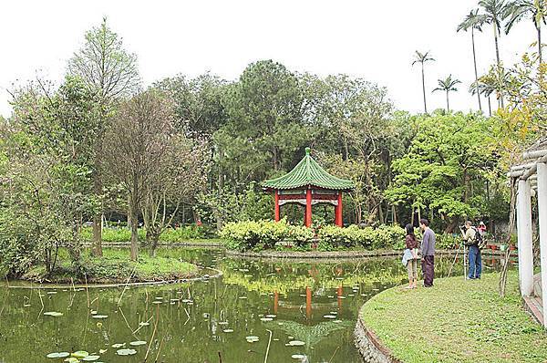 植物園內一景