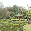 植物園內一景