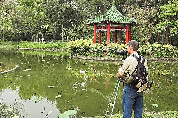 植物園內一景