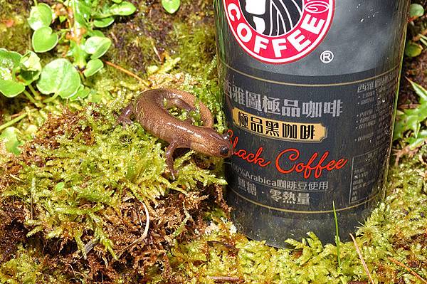 照例也要和走味的嘎逼合照一張