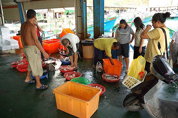 富岡漁港的魚市場