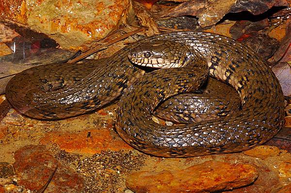 最後補一張全身照