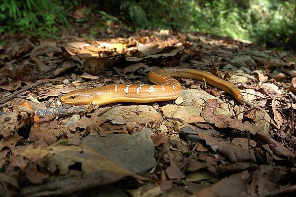 忍不住再來一張...