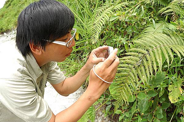 阿白和牧氏攀蜥(Japalura makii)