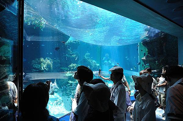 水族館