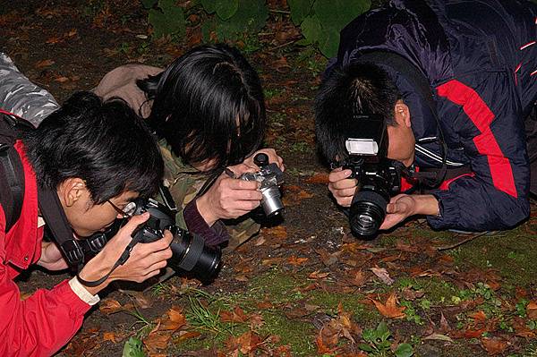 大家正在拍攝小阿龜