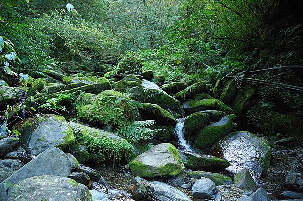 發現可疑的棲地!!