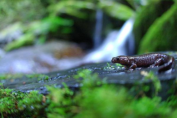 魚眼版再來一張