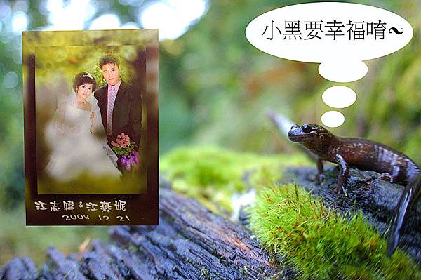 來個慶祝小黑結婚版囉XD