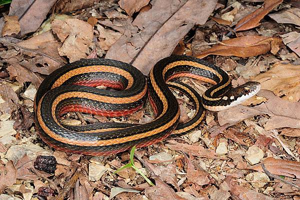 下次遇見不知道是哪時候了...