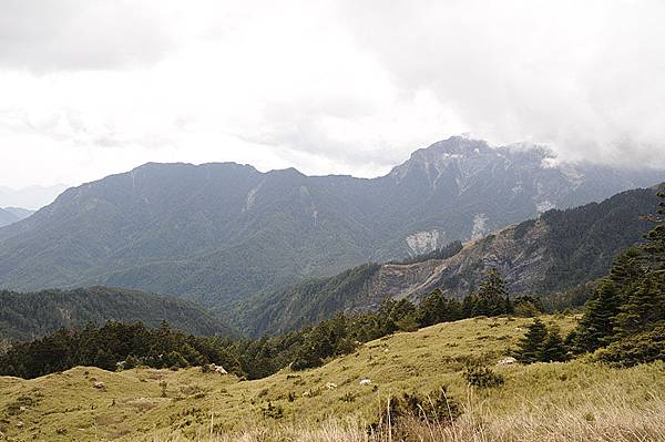 合歡風景~