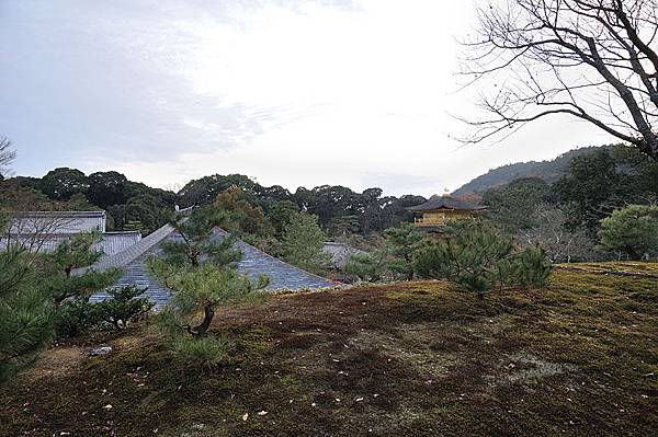 這裡還可以看到遠方的金閣寺