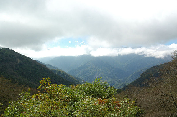 雲層漸漸厚了起來...