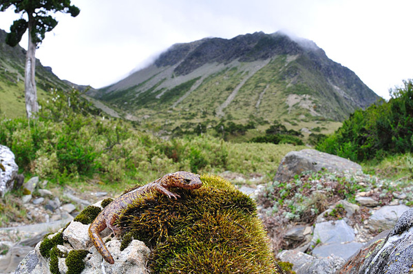 和南湖大山主峰的合照XD 和南湖大山主峰的合照XD