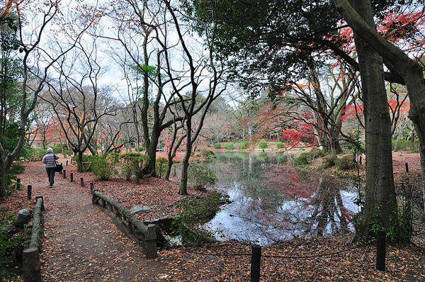 植物園內