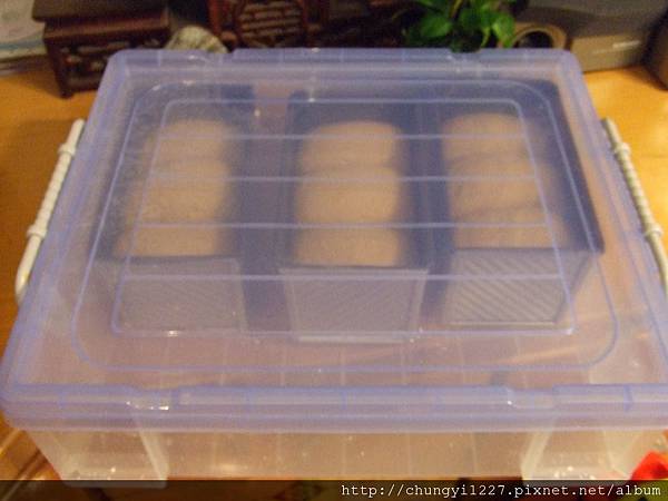 2012.3.16南瓜麵團 014