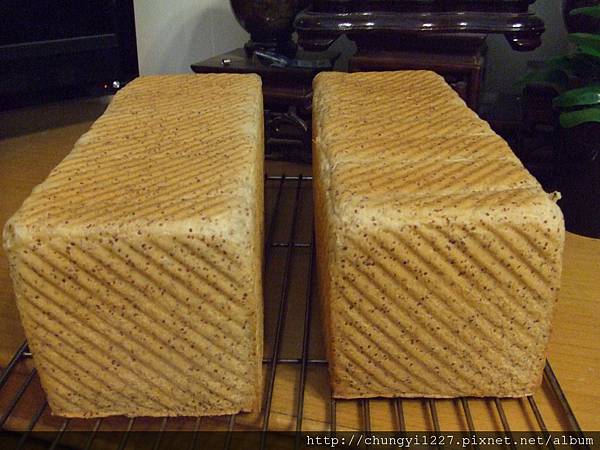 蜂蜜種胚芽吐司 012