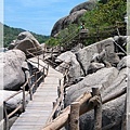 海鷗島 - 登山步道