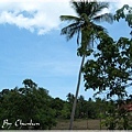 Samui Buri Beach Resort And Spa - 泳池外景色