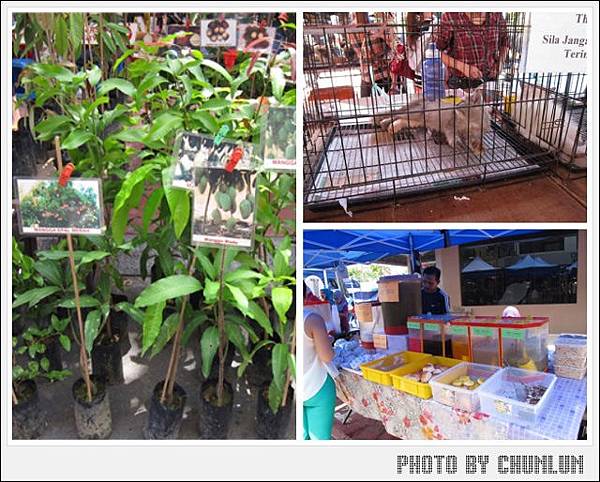 加雅街周日市場 Gaya Street – Sunday Market