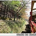 嵯峨野トロッコ列車 - 景色
