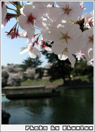 宇治公園