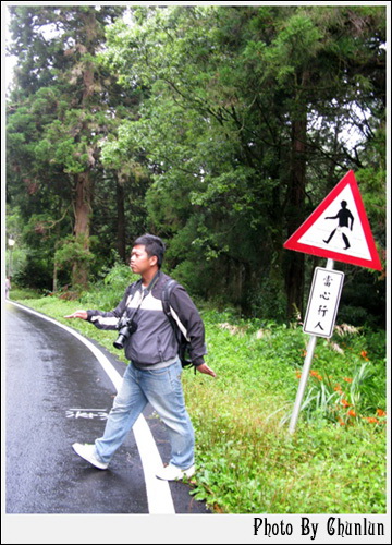 回阿里山車站 - 路上