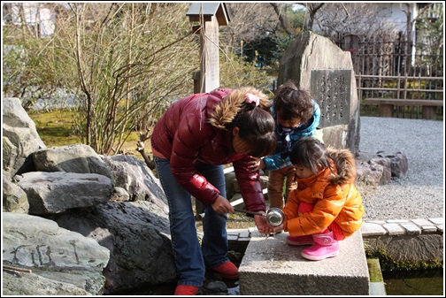 嵐山天龍寺 (20)