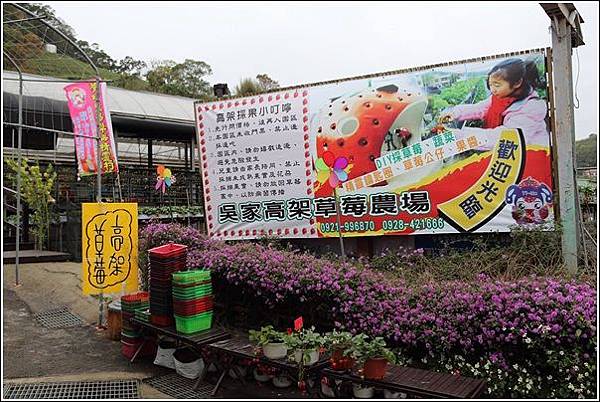 大湖採草莓 (1) 大湖採草莓 (1)