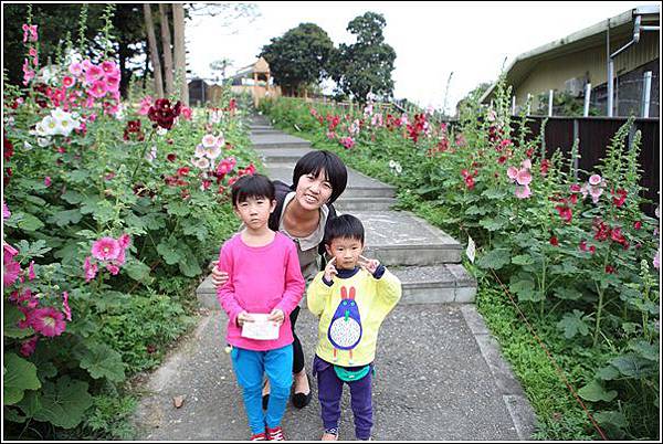 克林姆莊園 (10)