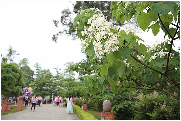 客家大院桐花樂活 (36) 客家大院桐花樂活 (36)