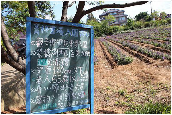 青林農場 (4) 青林農場 (4)