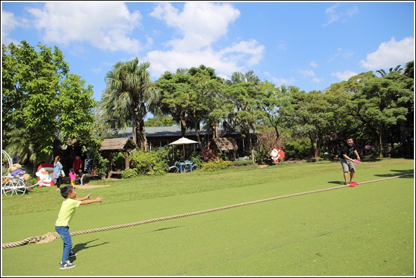 青林農場 (79) 青林農場 (79)