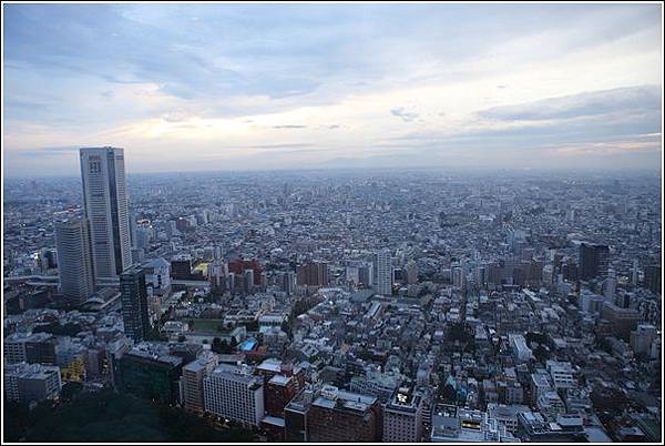 新宿都廳夜景 (7)