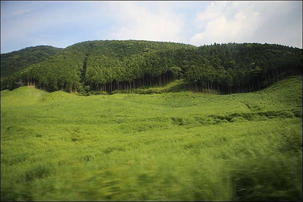 河口湖往御墊場 (11)